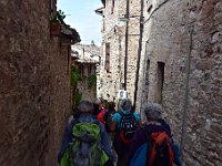 DSC 3317   -   PASSEGGIANDO PER LE VIUZZE DI SPELLO