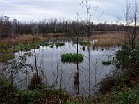 DSC 3978   -  IL LAGO DI PORTA