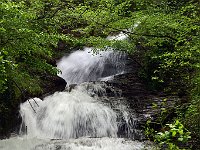 DSC 5432   -   CASCATE DI CALABUIA