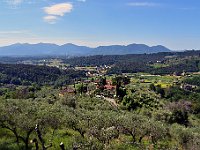 DSC 5482   -   PANORAMA SULLA PIANURA DI LUCCA