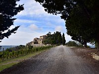 DSC 7870  -  CACCHIANO