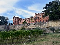 DSC 7910    -  CASTELLO DI BROLIO