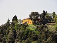 DSC 7209 - RUZZOLAPAIOLO