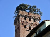 DSC 9741   -   TORRE GUINIGI