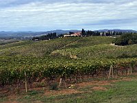 DSC 0217  -  VIGNETI DEL BRUNELLO