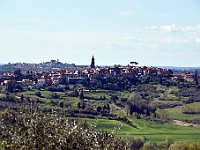 DSC 0744   -  PECCIOLI