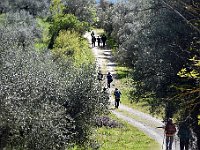 DSC 0746  -  VERSO MONTECCHIO