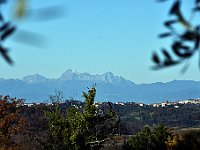 DSC 1537  -  APUANE, PANIA CROCE