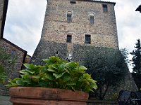 DSC 1399   -  TORRE DI STIGLIANO