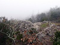 P1000461   -   SASSO DI SILVIA